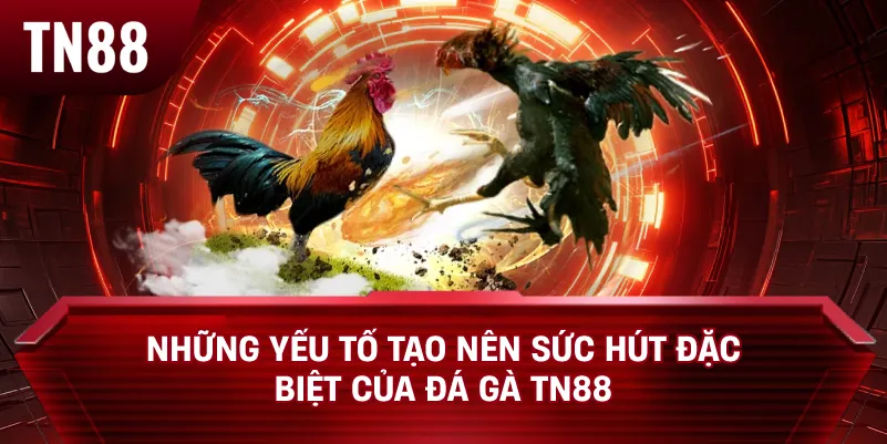 Những Yếu Tố Tạo Nên Sức Hút Đặc Biệt Của Đá Gà TN88